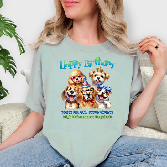 Funny Vintage Dog Birthday T-Shirt – You’re Not Old, Just High-Maintenance