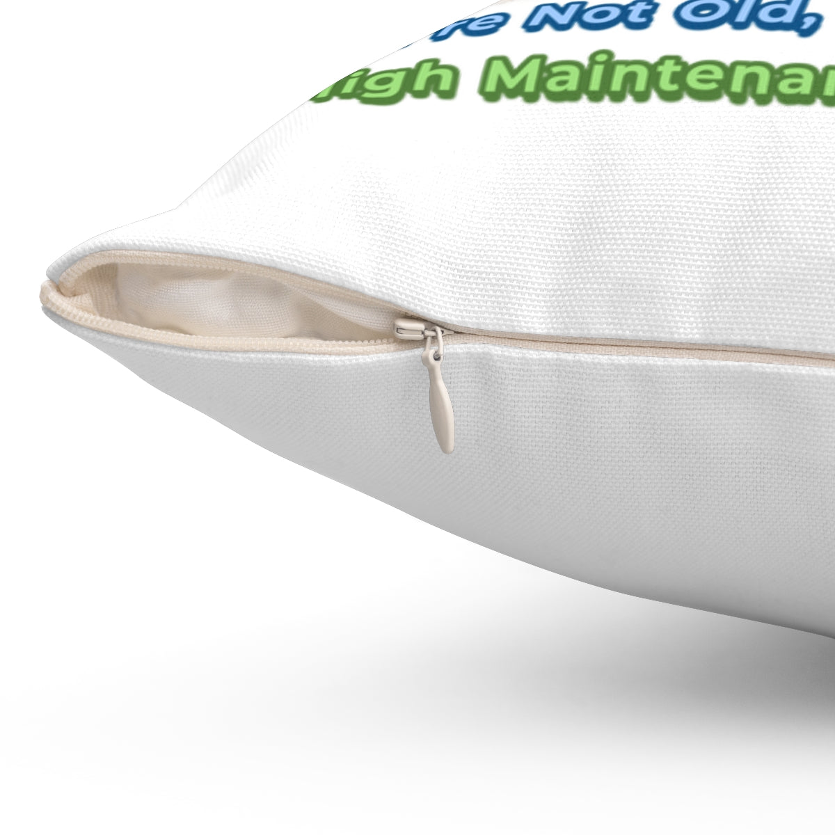 Vintage Dog Birthday Pillow – Funny Gift for Dog Lovers