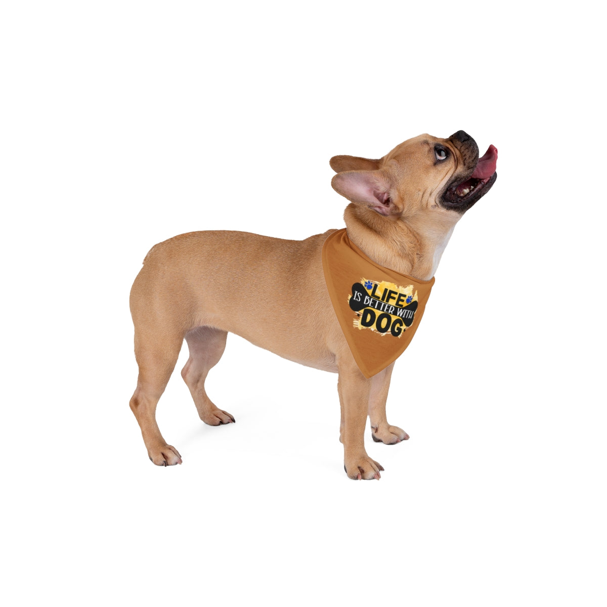 Life Is Better With Dog Bandana – Cute Gift for Shih Tzu Lovers
