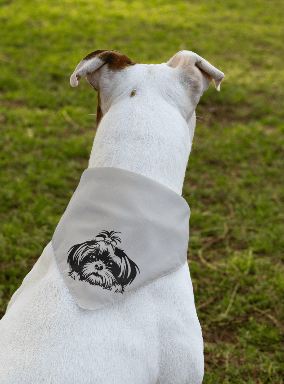 Shih-Tzu-Black-and White-white-Pet Bandana - Shih Tzu Gifts
